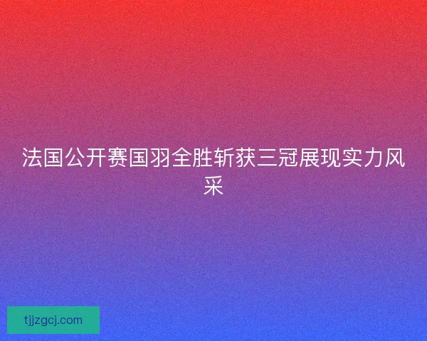 法国公开赛国羽全胜斩获三冠展现实力风采