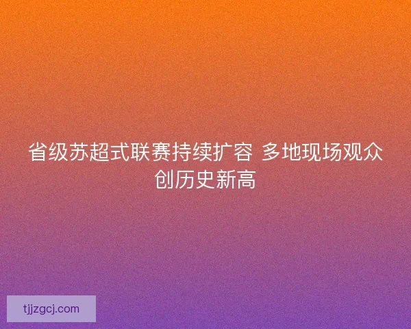 省级苏超式联赛持续扩容 多地现场观众创历史新高