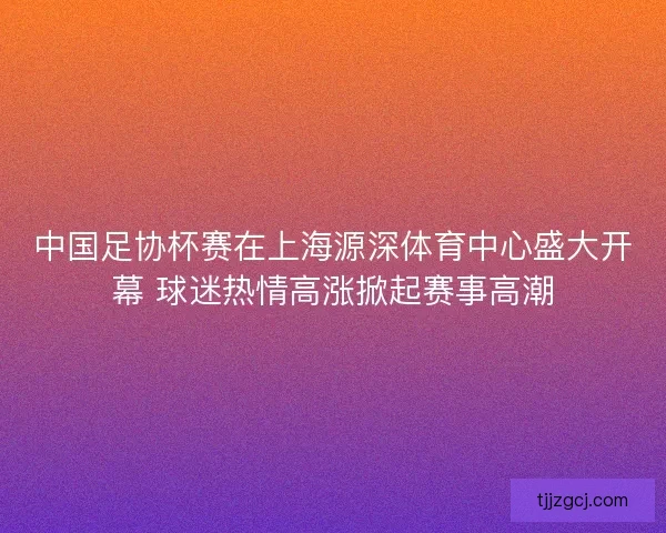 中国足协杯赛在上海源深体育中心盛大开幕 球迷热情高涨掀起赛事高潮