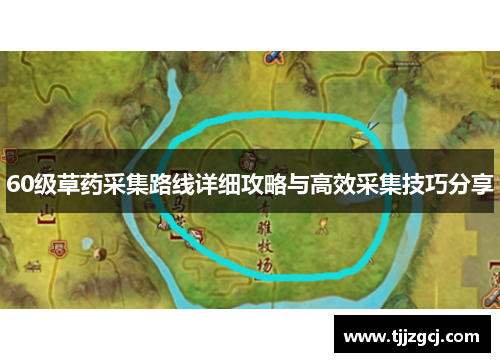 60级草药采集路线详细攻略与高效采集技巧分享