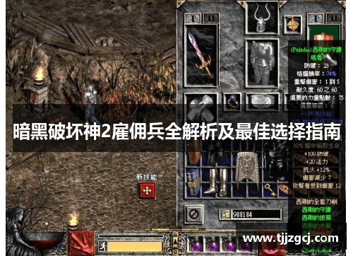暗黑破坏神2雇佣兵全解析及最佳选择指南