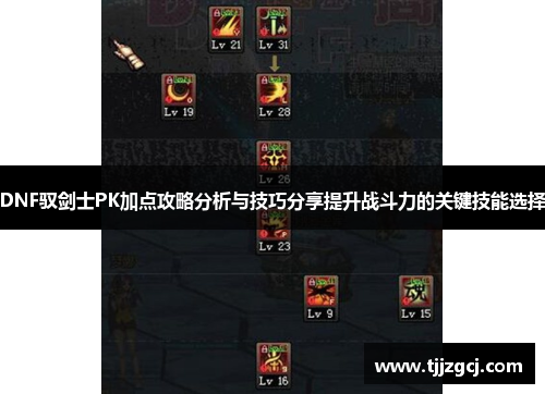 DNF驭剑士PK加点攻略分析与技巧分享提升战斗力的关键技能选择