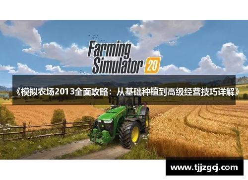 《模拟农场2013全面攻略：从基础种植到高级经营技巧详解》