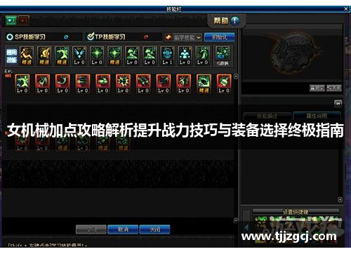 女机械加点攻略解析提升战力技巧与装备选择终极指南
