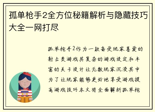 孤单枪手2全方位秘籍解析与隐藏技巧大全一网打尽