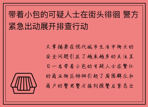 带着小包的可疑人士在街头徘徊 警方紧急出动展开排查行动